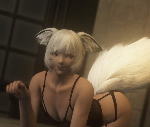NSFW Exhibitions