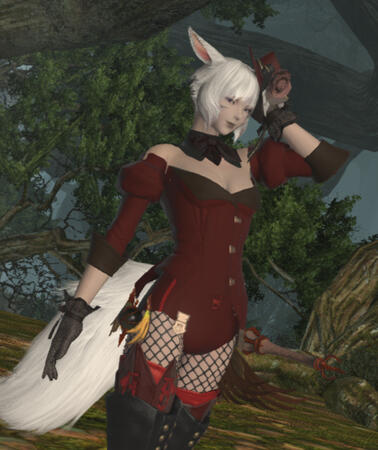 XIV Selfies